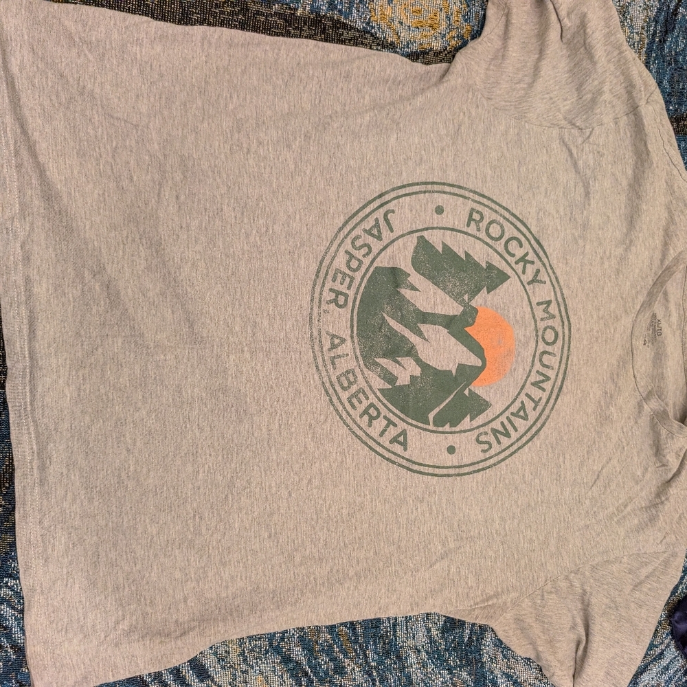 Gray Rocky Mountains Graphic T-Shirt